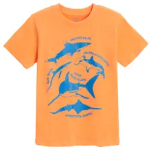 Cool Club, T-shirt chłopięcy, pomarańczowy