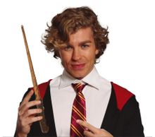 Harry Potter, różdżka czarodzieja, pałeczka, magiczna różdżka, 45 cm