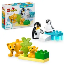 LEGO DUPLO, Rodziny dzikich zwierząt: pingwiny i lwy, 10442