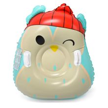 Meteor, dmuchany ślizg zjazdowy, sowa