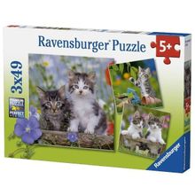 Ravensburger, Kocięta, puzzle, 3-49 elementów