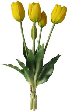 Saska Garden, 5 tulipanów żółtych, 40 cm