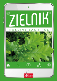 Zielnik