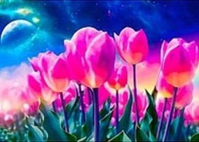 Adar, diamentowa mozaika, tulipany, 30-40 cm