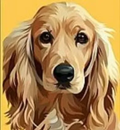 Adar, malowania po numerach, 22-22 cm, 1 szt.