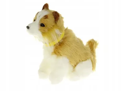 Adar, piesek, zabawka interaktywna