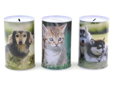 Adar, skarbonka metalowa, 1 szt.