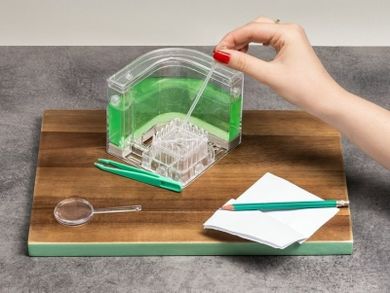 Akwarium dla mrówek, podświetlane LED, zielone