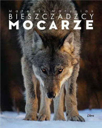 Album Bieszczadzcy mocarze. Wilk