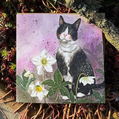 Alex Clark, karnet, kot i ciemierniki