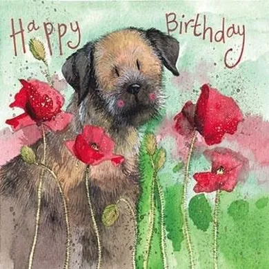 Alex Clark, karnet urodzinowy, pies border i maki