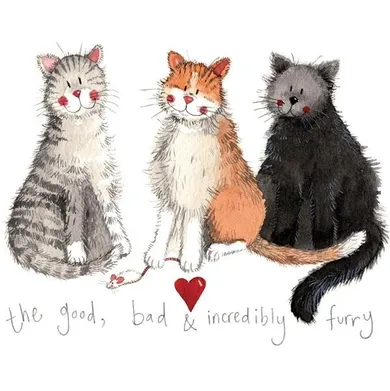 Alex Clark, magnes, 3 koty