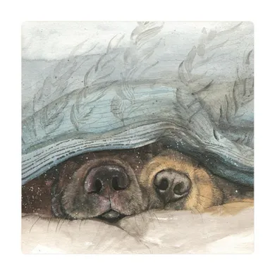 Alex Clark, magnes, Noski psów