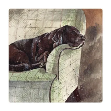 Alex Clark, magnes, Pies Buddy