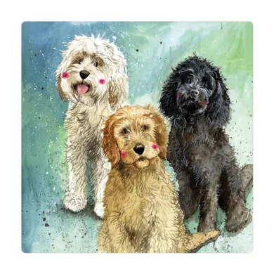 Alex Clark, magnes, Psy Cockapoo