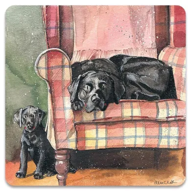 Alex Clark, magnes, Psy Sophie&Scarlett