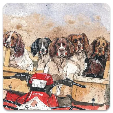 Alex Clark, magnes, Psy Spaniele