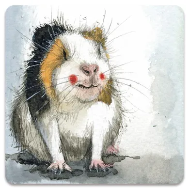 Alex Clark, magnes, Świnka morska