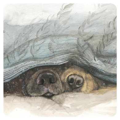 Alex Clark, podkładka pod kubek, Noski psów