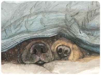 Alex Clark, podkładka pod talerz, Noski psów