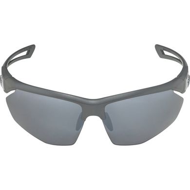 Alpina, Nylos Hr, okulary, szary mat
