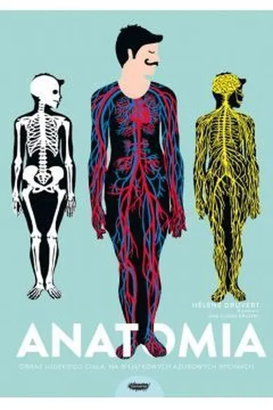 Anatomia