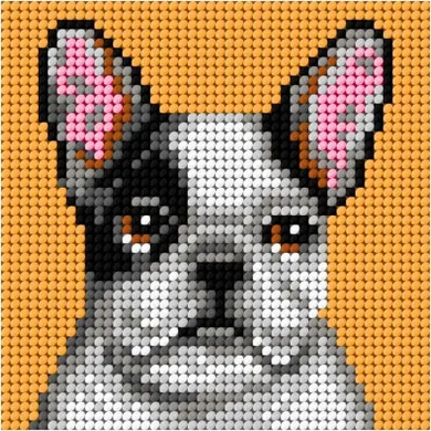 Anex-bis, Moje pierwsze wyszywanie, zestaw do haftu, Buldog