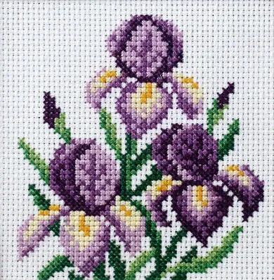 Anex-bis, zestaw do haftu krzyżykowego, Irysy