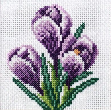 Anex-bis, zestaw do haftu krzyżykowego, Krokusy