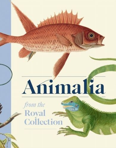 Animalia (wersja angielska)