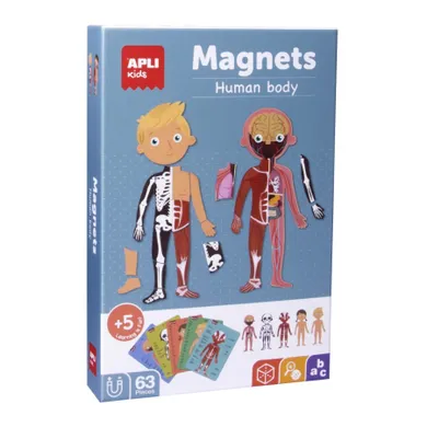Apli Kids, magnetyczna układanka, ciało człowieka