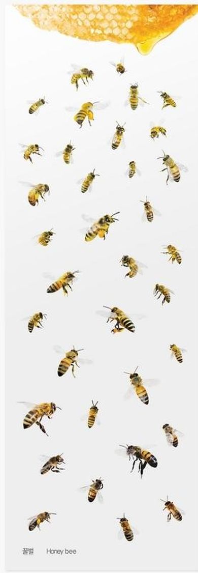 Appree, naklejki ozdobne, pszczoły