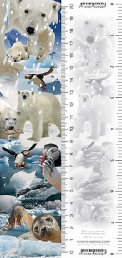 Arktyka, zakładka 3D