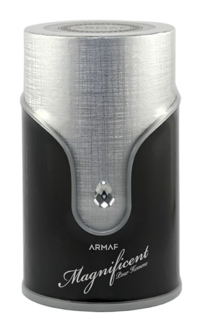 Armaf, Magnificent Pour Homme, woda perfumowana, 100 ml
