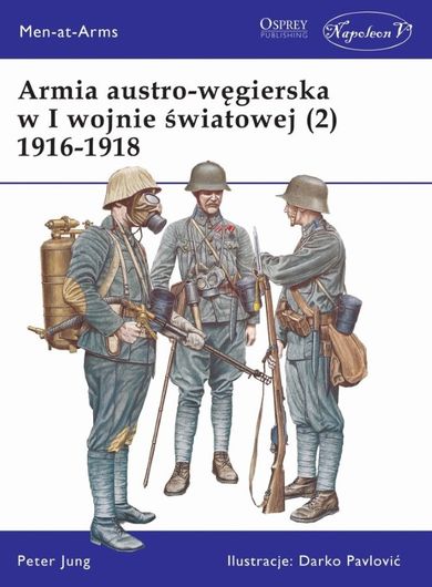 Armia austro-węgierska w I wojnie światowej 1916-1918. Tom 2