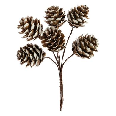 Arpex, szyszki na druciku