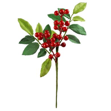 Arpex, zimowa gałązka z jagodami