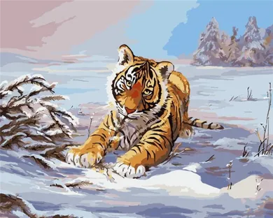 ArtiFly, malowanie po numerach, Tygrys w zimie, 40-50 cm