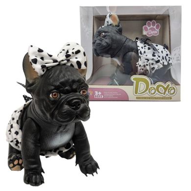 Askato, piesek hiszpański, buldog francuski, 29 cm