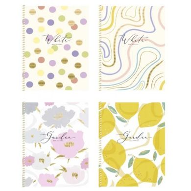 Astra, kołobrulion B5, 80 kartek, kratka, Mes petites, 1 szt.