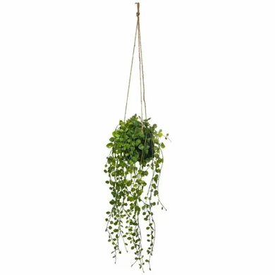 Atmosphera, sztuczna roślina wisząca, Peperomia, Ø 18-62 cm