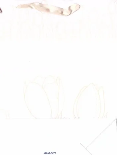 Avanti, torebka prezentowa, rozmiar L