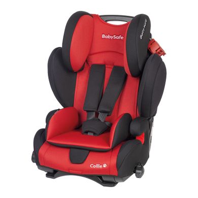 Babysafe, Collie, fotelik samochodowy, 9-36 kg, red-black
