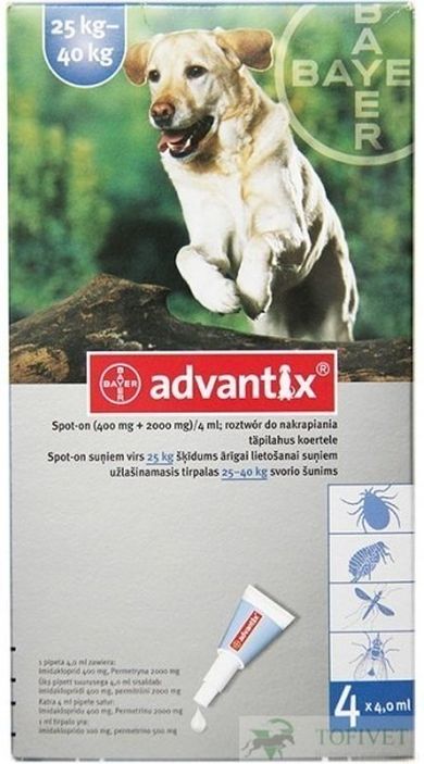 Bayer, Advantix XL, płyn na kleszcze i pchły dla psa, 25-40 kg, 4 szt.