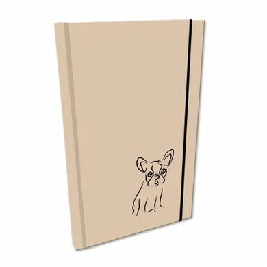 Bee-bee, Soft Touch, notes z gumką, A5, gładki, buldog beżowy, 1 szt.