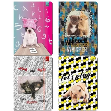 Bee-bee, teczka, A4, z gumką, zwierzaki, 1 szt.