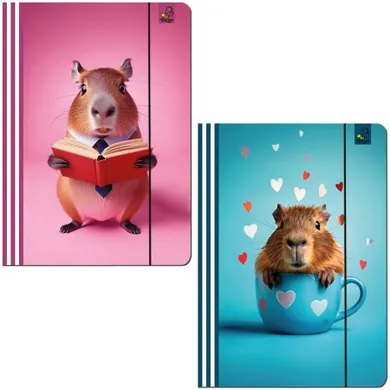 Bee-bee, teczka z gumką A4, Kapibara, 1 szt.