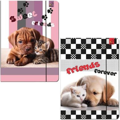 Bee-bee, teczka z gumką A4, Psy Koty, 1 szt.