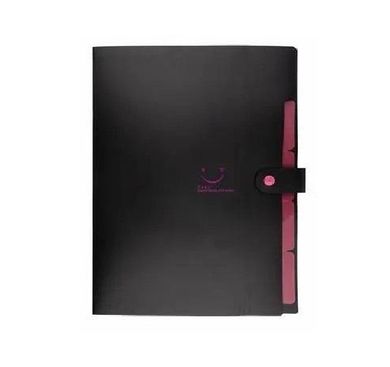 Beniamin, teczka plastikowa z 5 przegródkami A4, czarna, 1 szt.