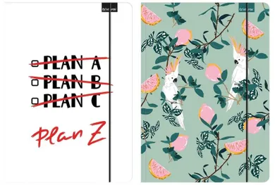 Beniamin, teczka z gumką A4, 1 szt.